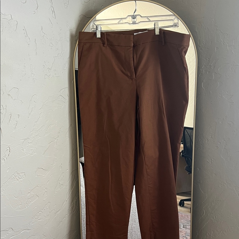 LOFT brown pants